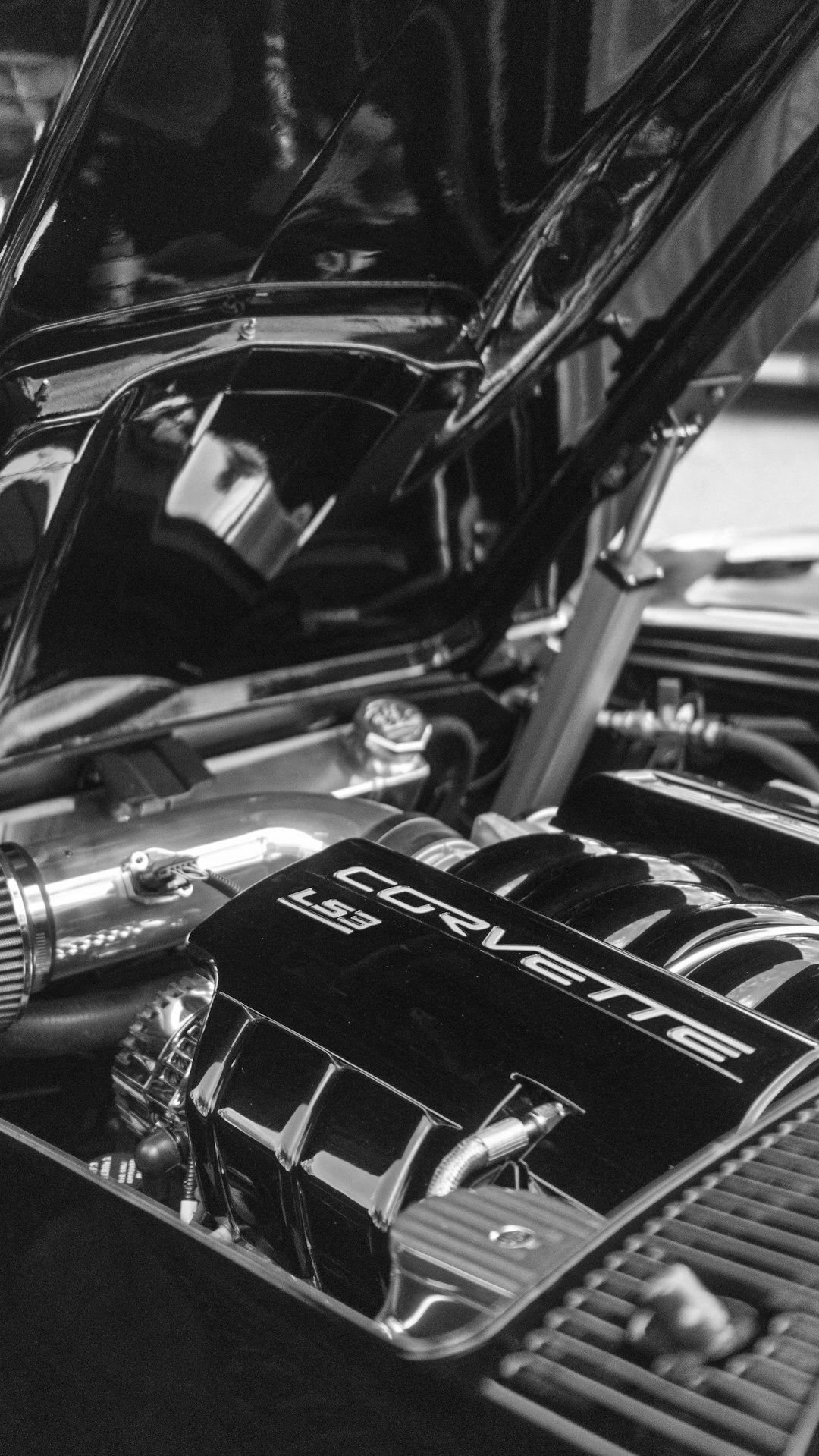 Close up of a polished V12 engine bay of a classic sports car