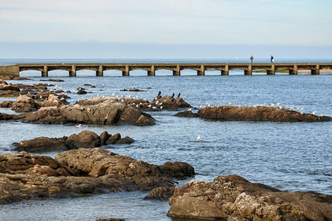 Vintage sports car crossing the Puente de la Barra bridge in Punta del Este at sunset