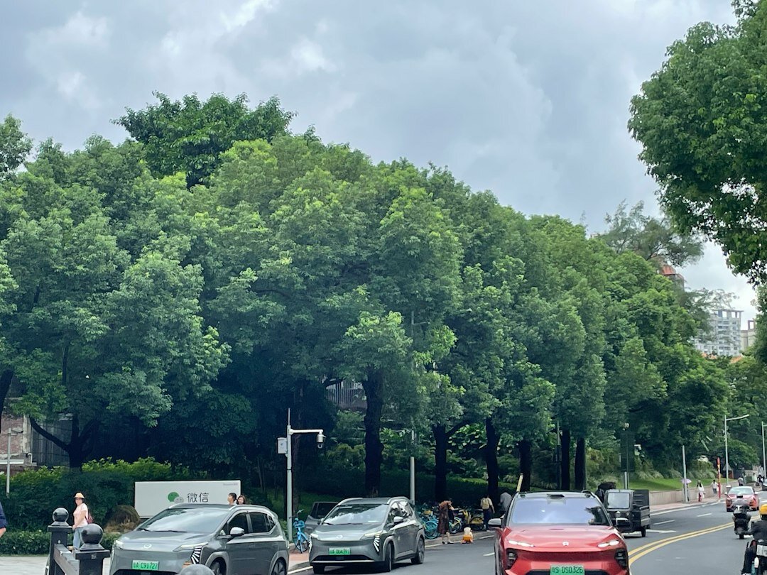 electric cars in city traffic